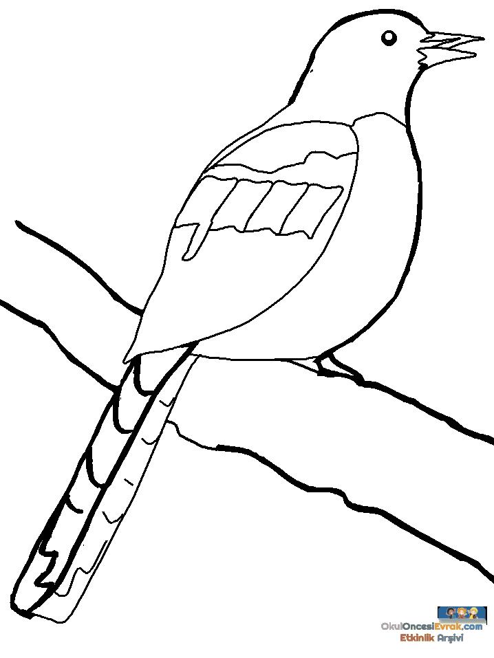1 (135)