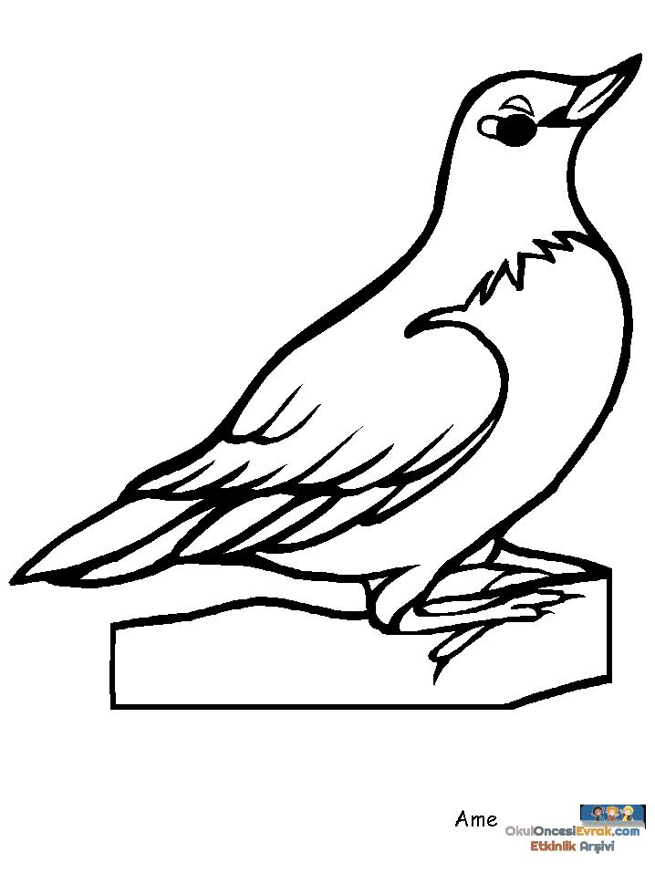 1 (138)
