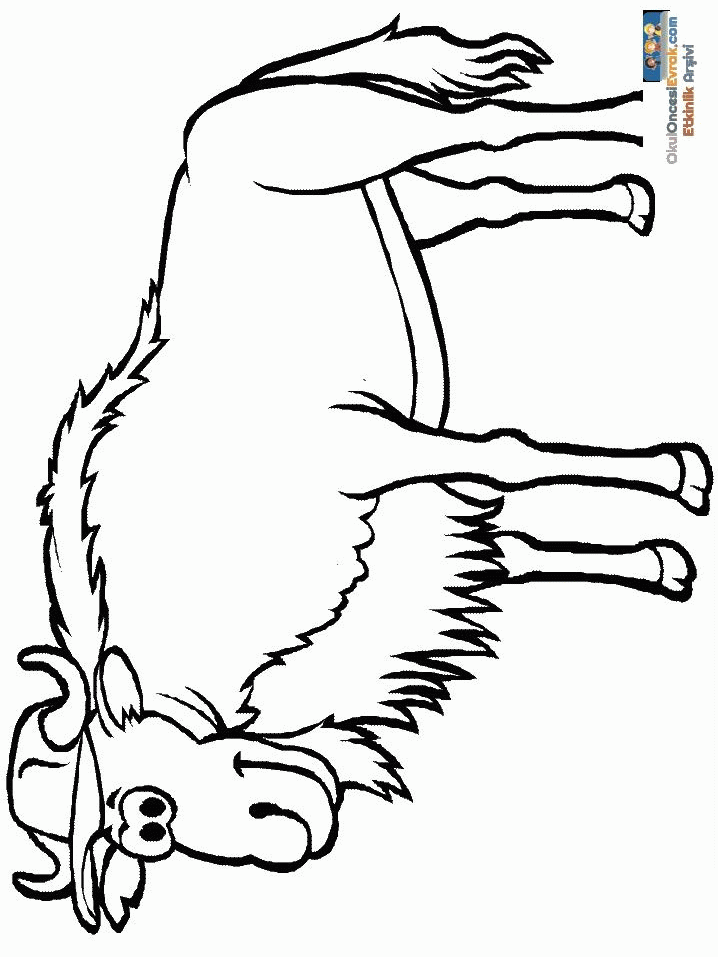 1 (147)