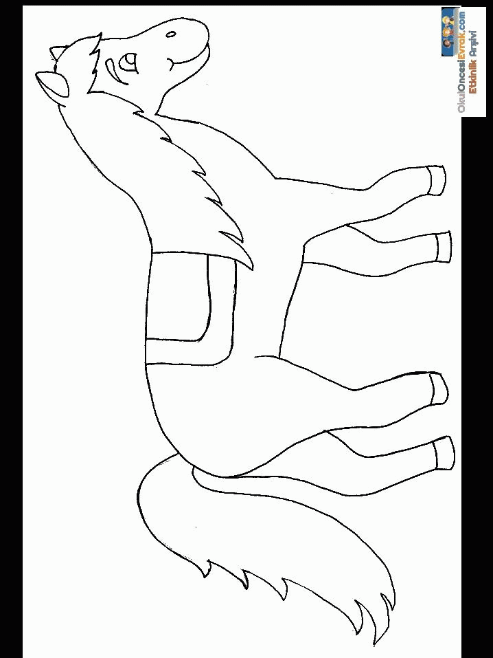 1 (20)