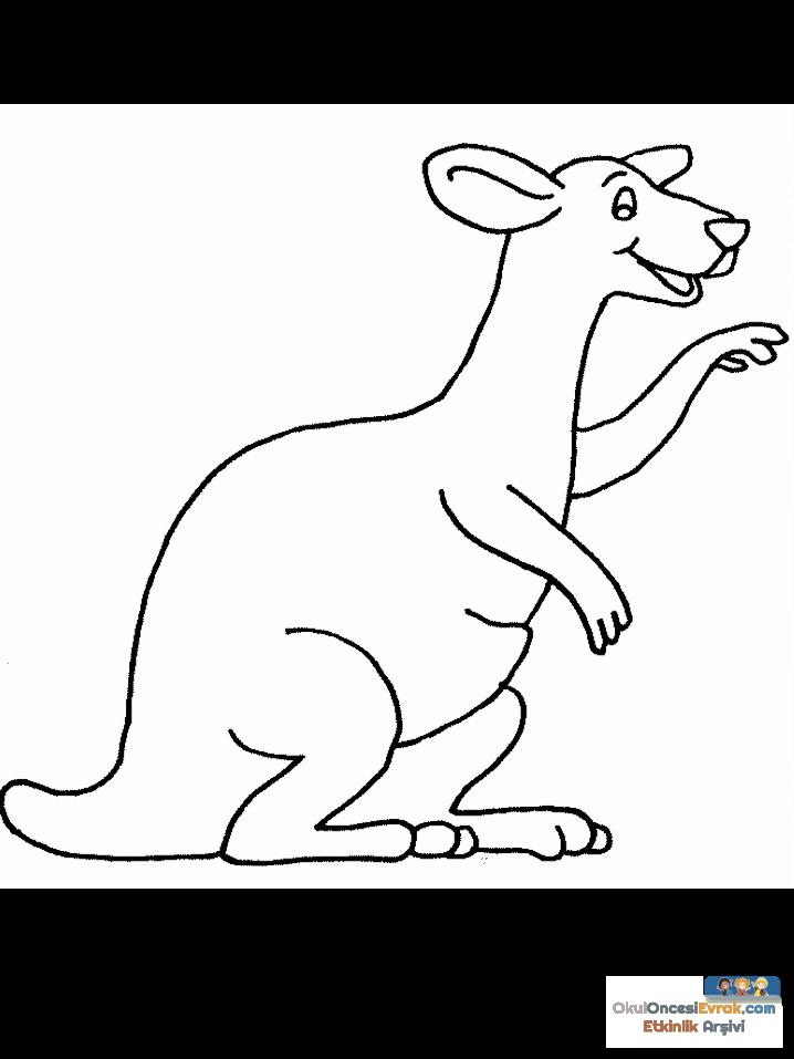 1 (21)