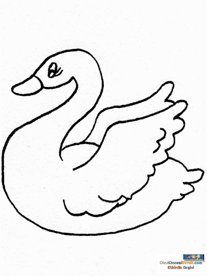 1 (29)