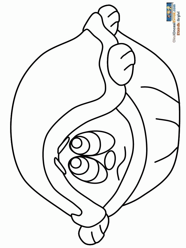 1 (49)