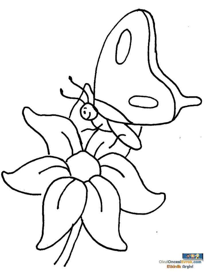 1 (51)