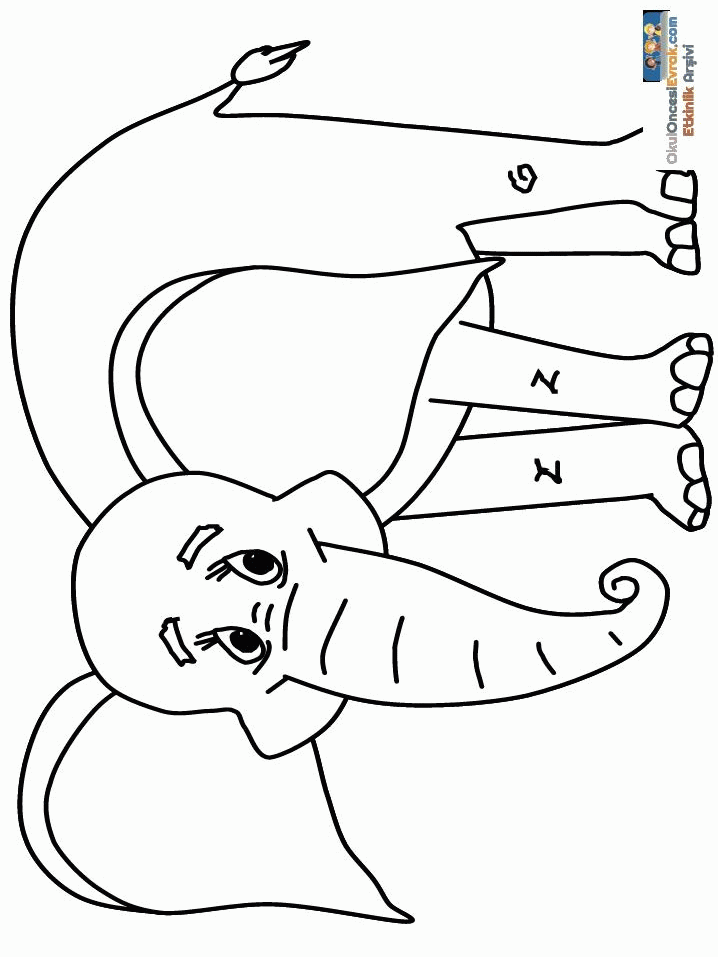 1 (55)