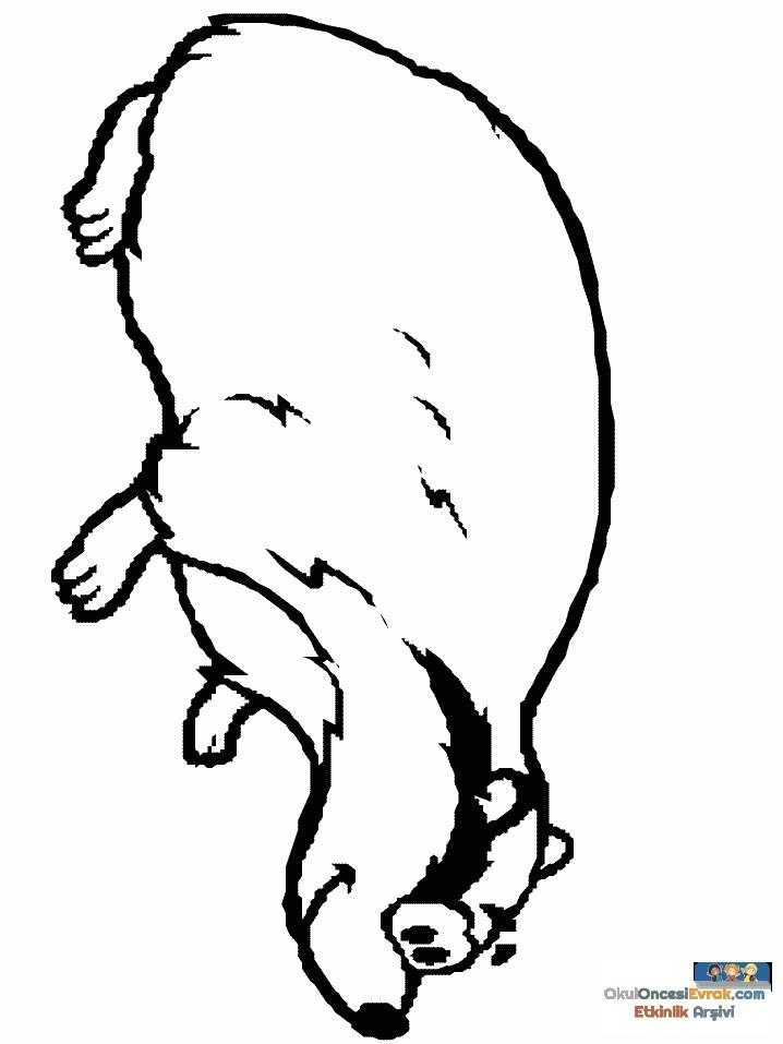 1 (68)