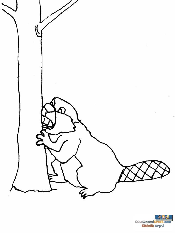 1 (71)