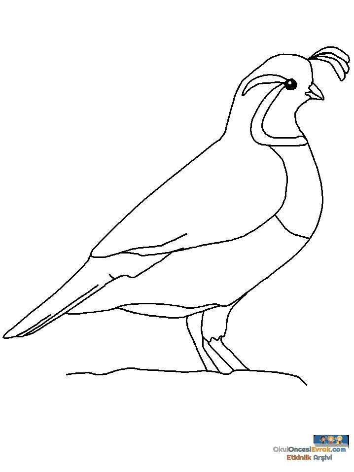 1 (82)