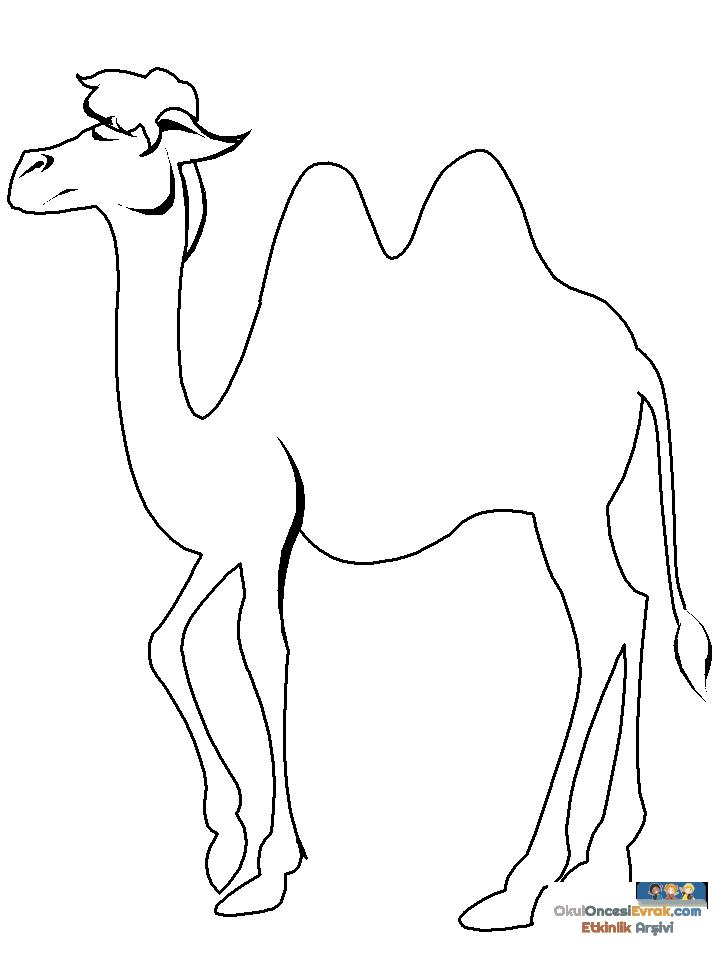 1 (84)