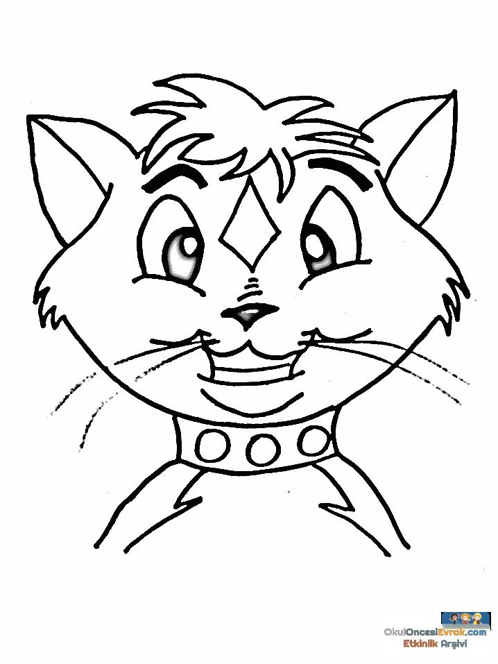 1 (86)