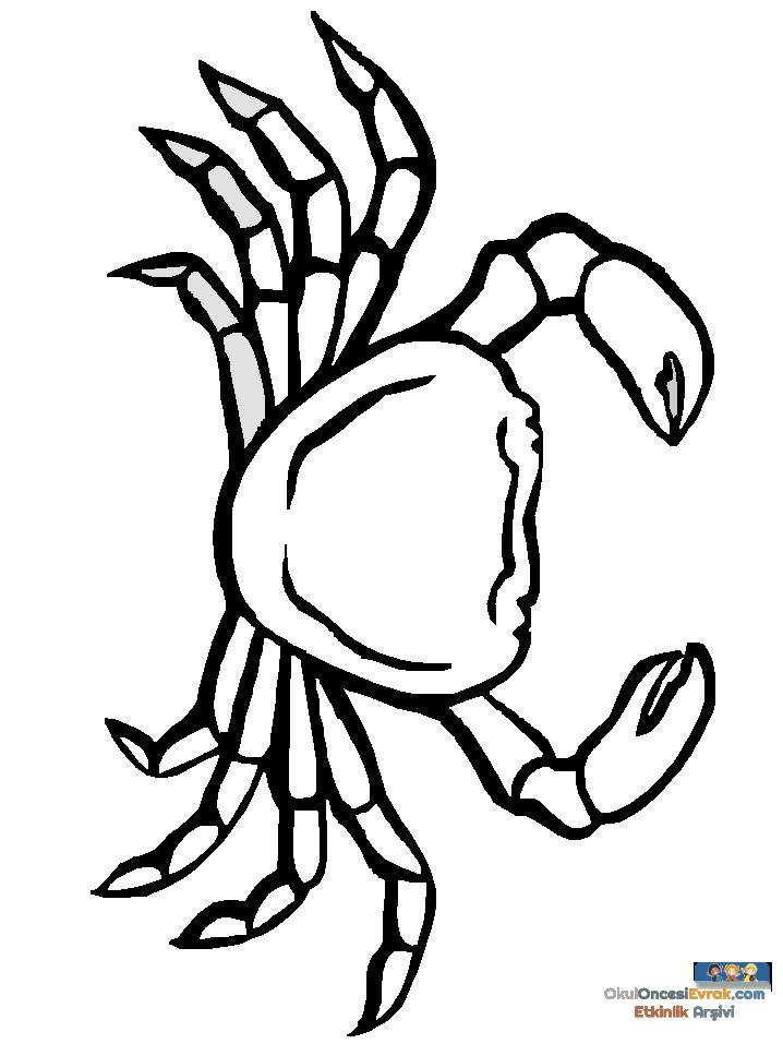1 (99)