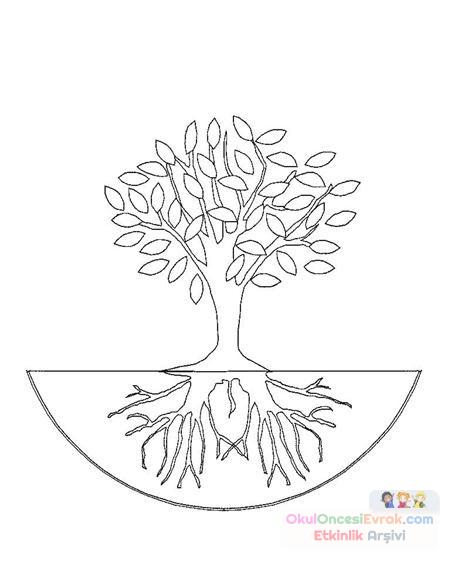 Ağaç Türleri (3)