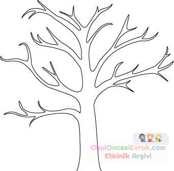 Ağaç Türleri (38)