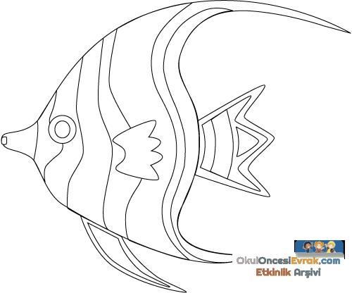 angel-fish500