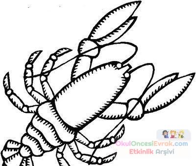 Arı Hayvanlar Boyama (62)