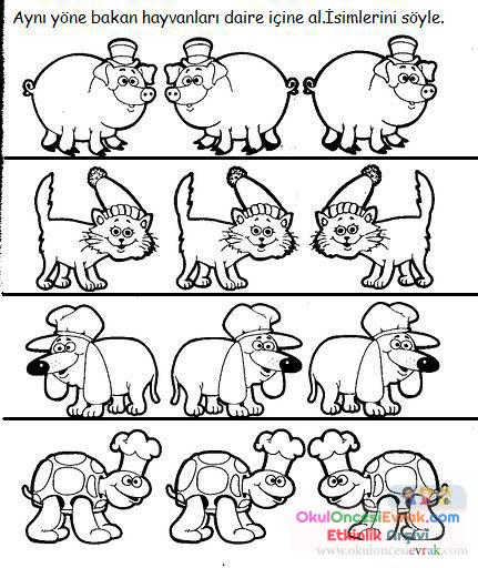 Aynı Yöne bakanlar