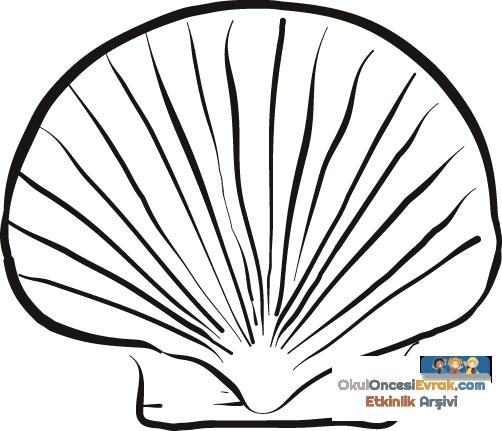 B&W_scallop