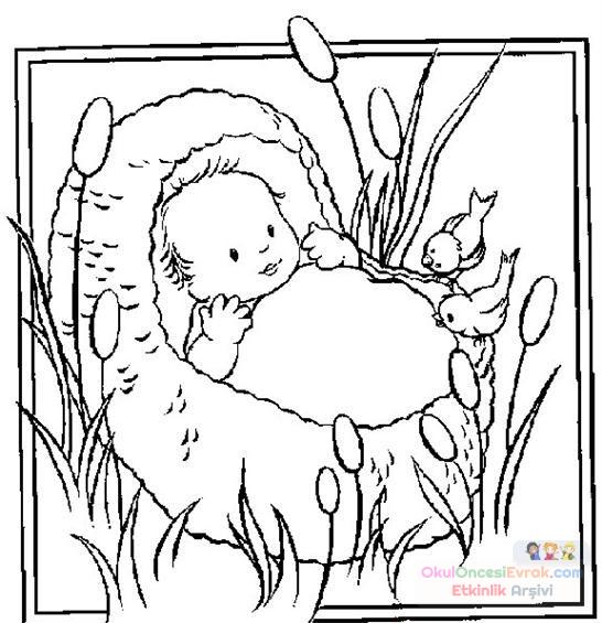 Bebek  (39)