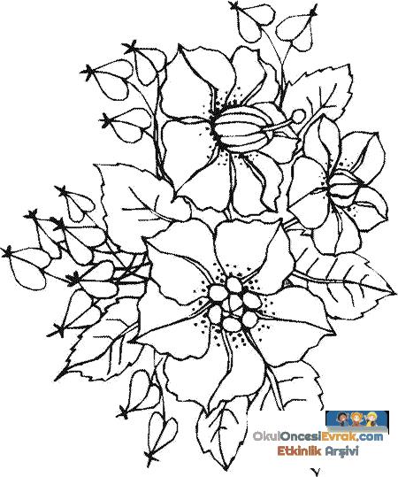 blume002