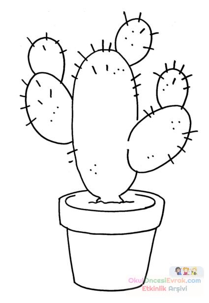 blume005