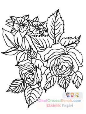 blume008