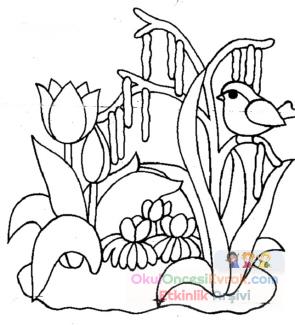 blume009