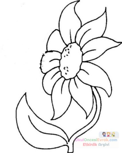 blume011