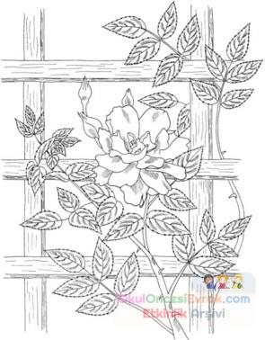 blume017