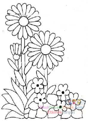 blume022
