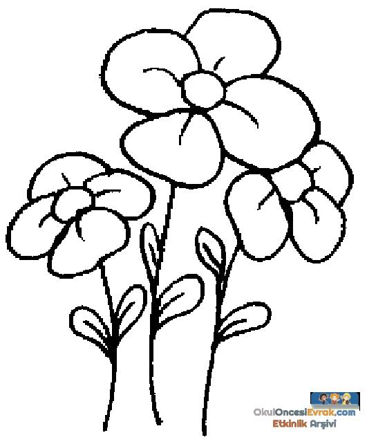blume027