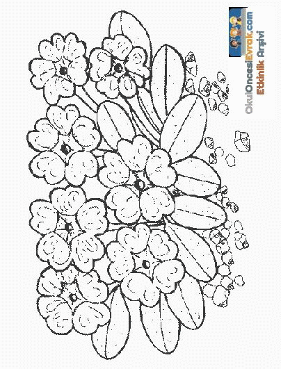 blume030