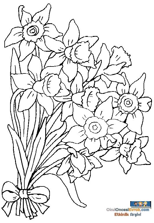 blume031