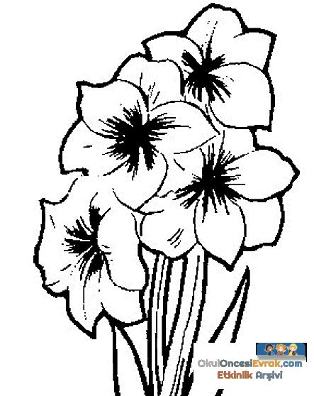 blume032