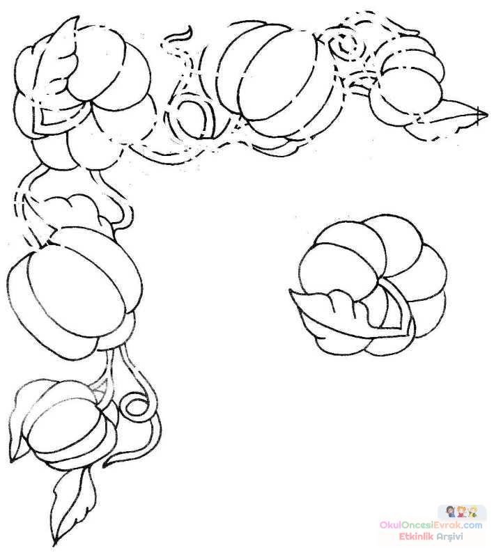 blume033