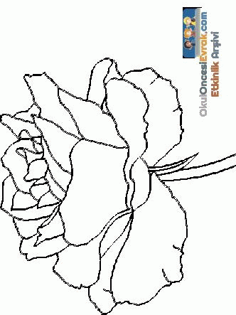 blume038