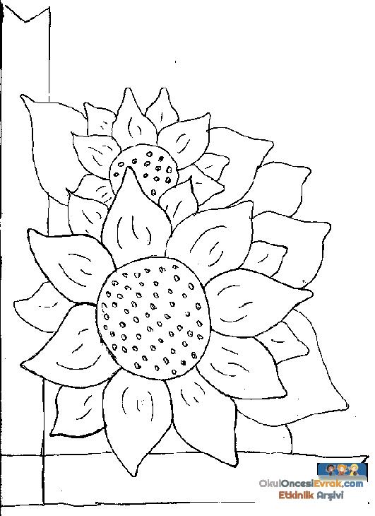 blume043