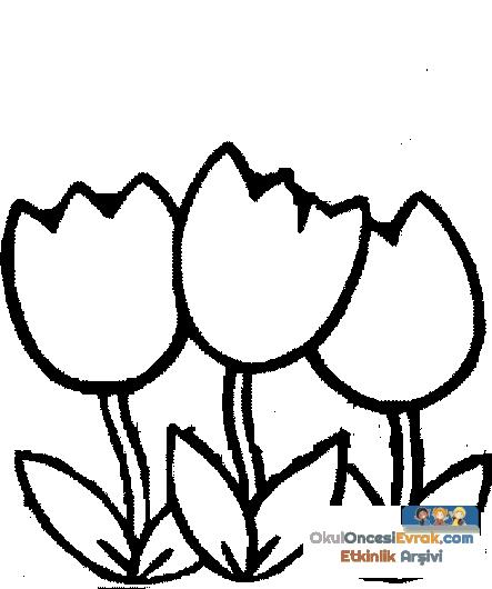 blume045
