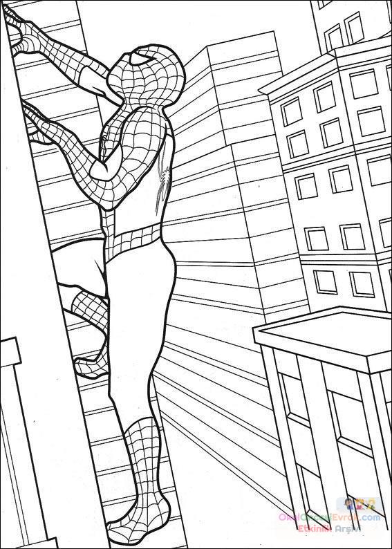 boyama