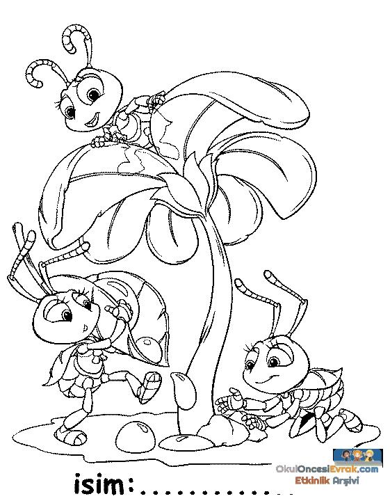 bugs
