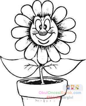 Çiçekler  (17)