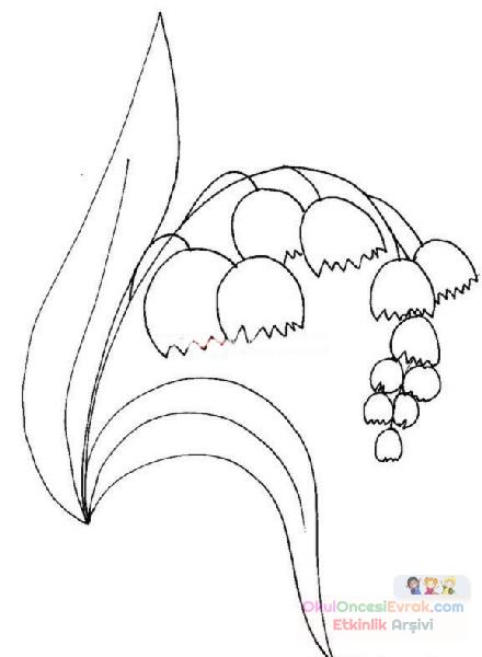Çiçekler  (31)