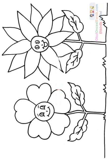 Çiçekler  (39)