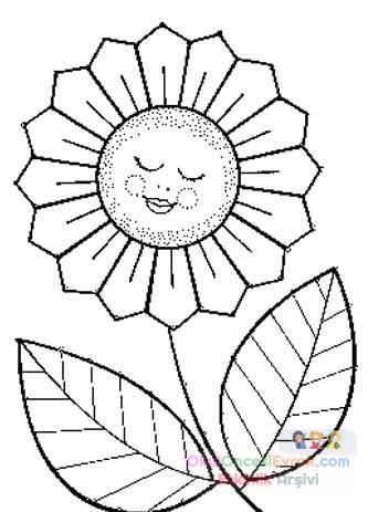 Çiçekler  (43)