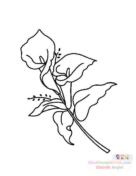 Çiçekler  (44)