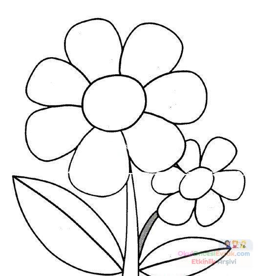 Çiçekler  (45)