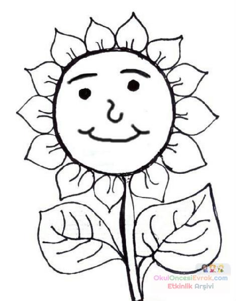 Çiçekler  (57)