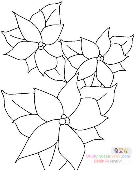 Çiçekler  (62)