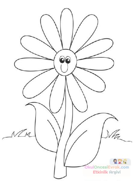 Çiçekler  (67)