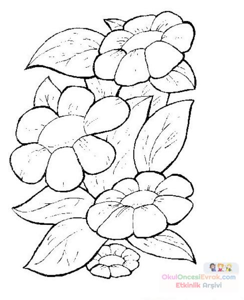 Çiçekler  (69)