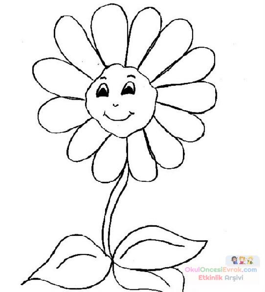 Çiçekler  (82)
